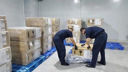 廣西毛燕進口創歷史新高，區域貿易結構持續優化